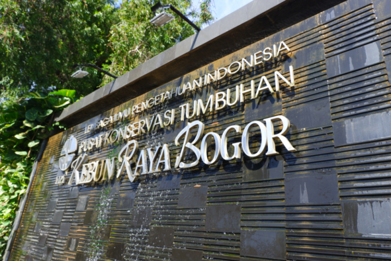 Kebun Raya Bogor Icon Rekreasi Bogor